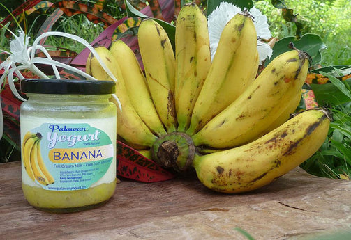 BANANA Yogurt - Full Cream Milk - 17% pure fruit content - PalawanYogurt