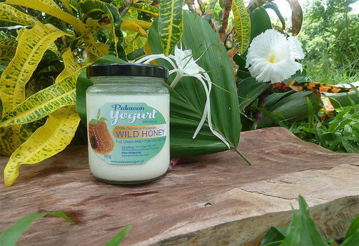 WILD HONEY Yogurt - Full Cream Milk - 9% pure honey - PalawanYogurt