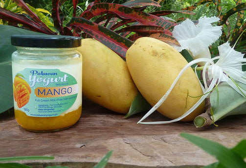 MANGO Yogurt - Full Cream Milk - 17% pure fruit - PalawanYogurt