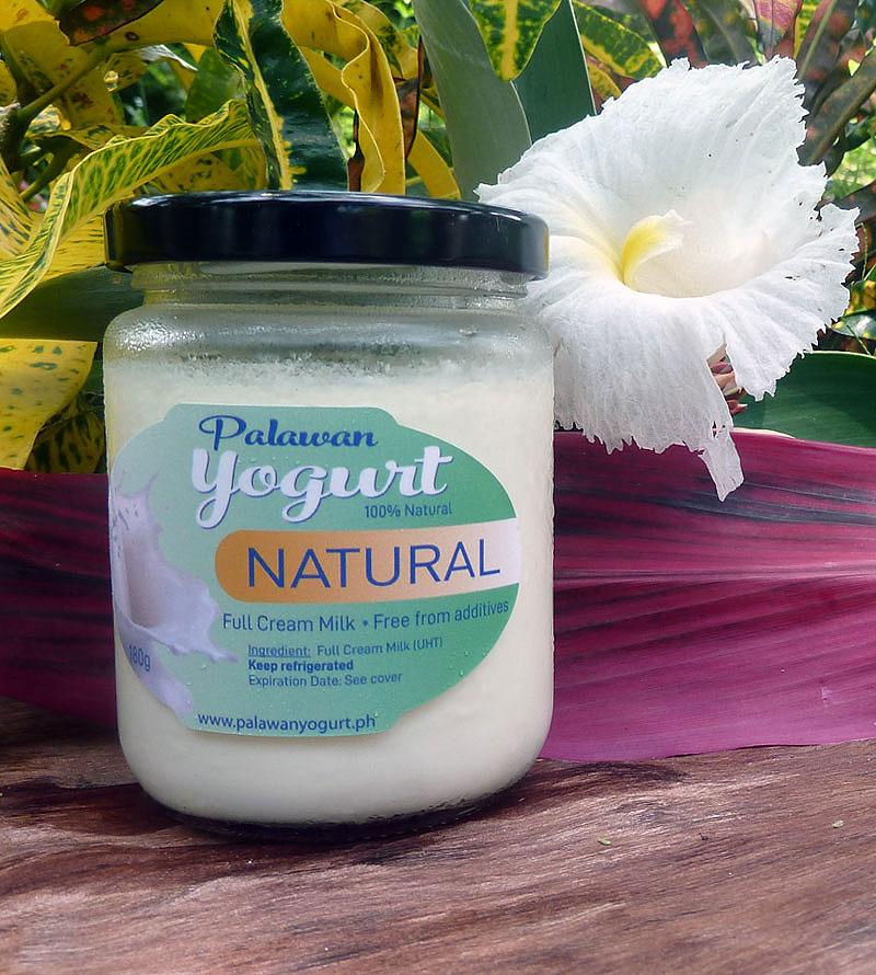 NATURAL (Plain) Yogurt - Full Cream Milk