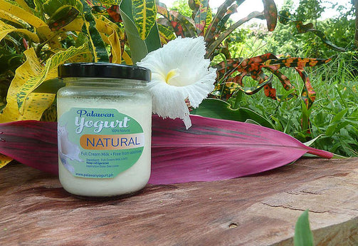 NATURAL (Plain) Yogurt - Full Cream Milk - PalawanYogurt