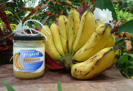 BANANA Yogurt - Palawan Milk - 17% pure fruit content - PalawanYogurt