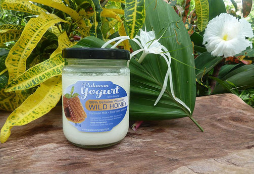 WILD HONEY Yogurt - Palawan Milk - 9% pure honey - PalawanYogurt