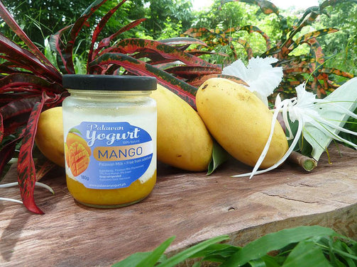 MANGO Yogurt - Palawan Milk - 17% pure fruit - PalawanYogurt