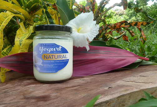 NATURAL (Plain) Yogurt - Palawan Milk - PalawanYogurt