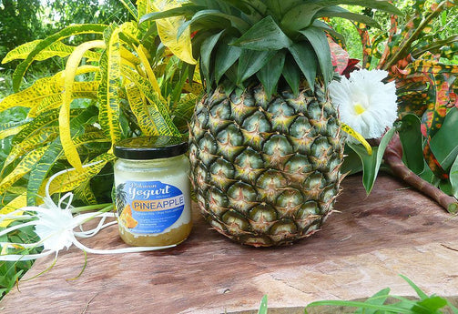 PINEAPPLE Yogurt - Palawan Milk - 17% pure fruit content - PalawanYogurt